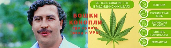 spice Михайлов